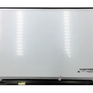 Ekranas 17.3", 1920x1080, 60Hz, matinis, 30pin, kairėje, IPS