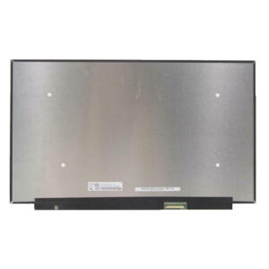 Ekranas 15.6", 1920x1080, 165Hz, matinis, 40pin, dešinėje, IPS