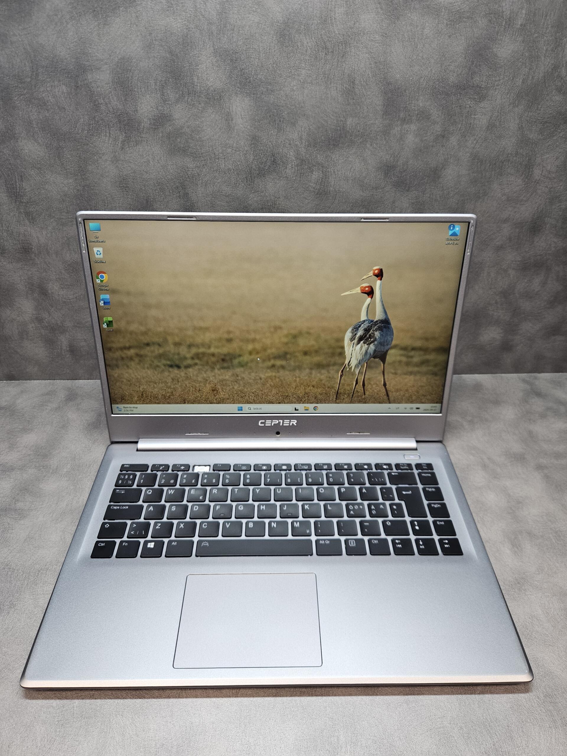Cepter N530-02 | 15.6" FHD | i5-10210U | 16GB | SSD 250 GB